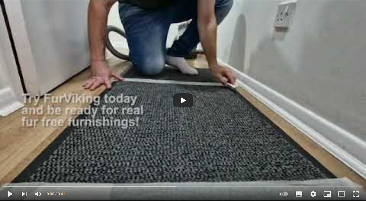 Load video: FurViking cleaning a carpet